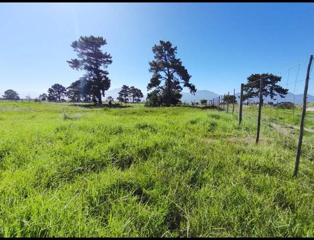 LAND FOR SALE IN GEORGE RURAL